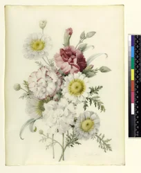 Ein Strauß gemischter Nelken und weißer Ringelblumen, 1839